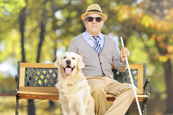 2025 Plan to Protect® Refresher (Vulnerable Adults)